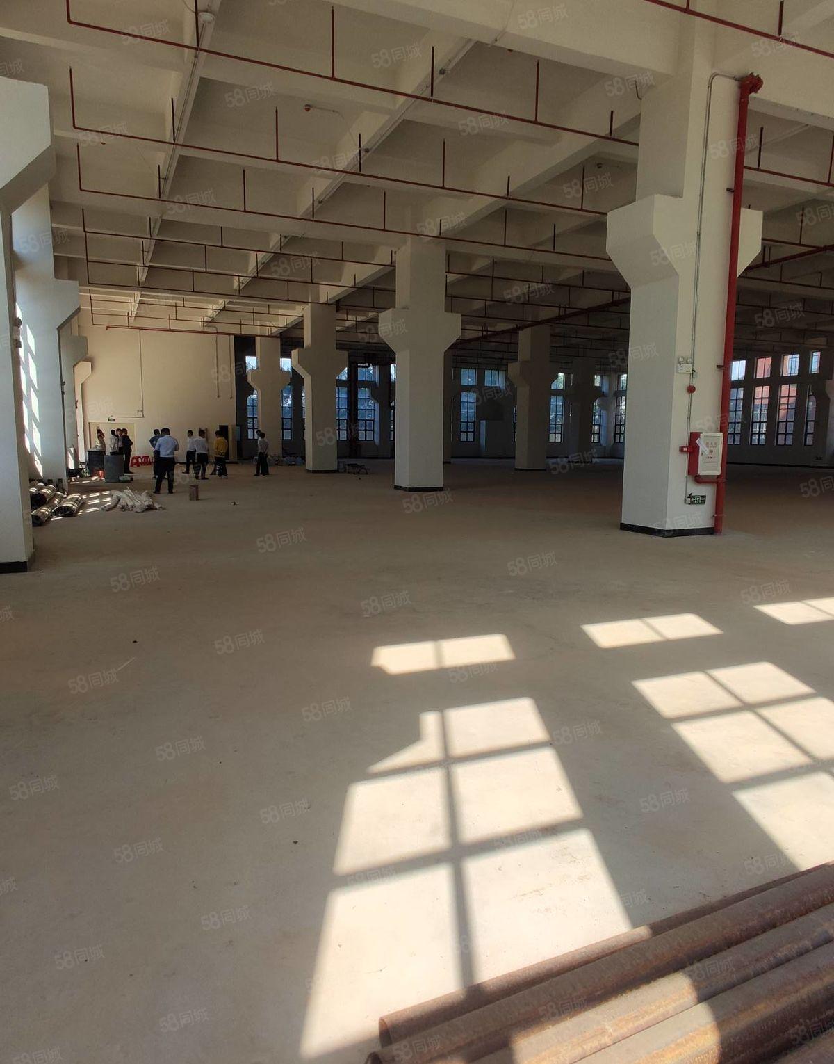 东莞大岭山镇中心一手房东红本独院厂房8层1.1万平可分租