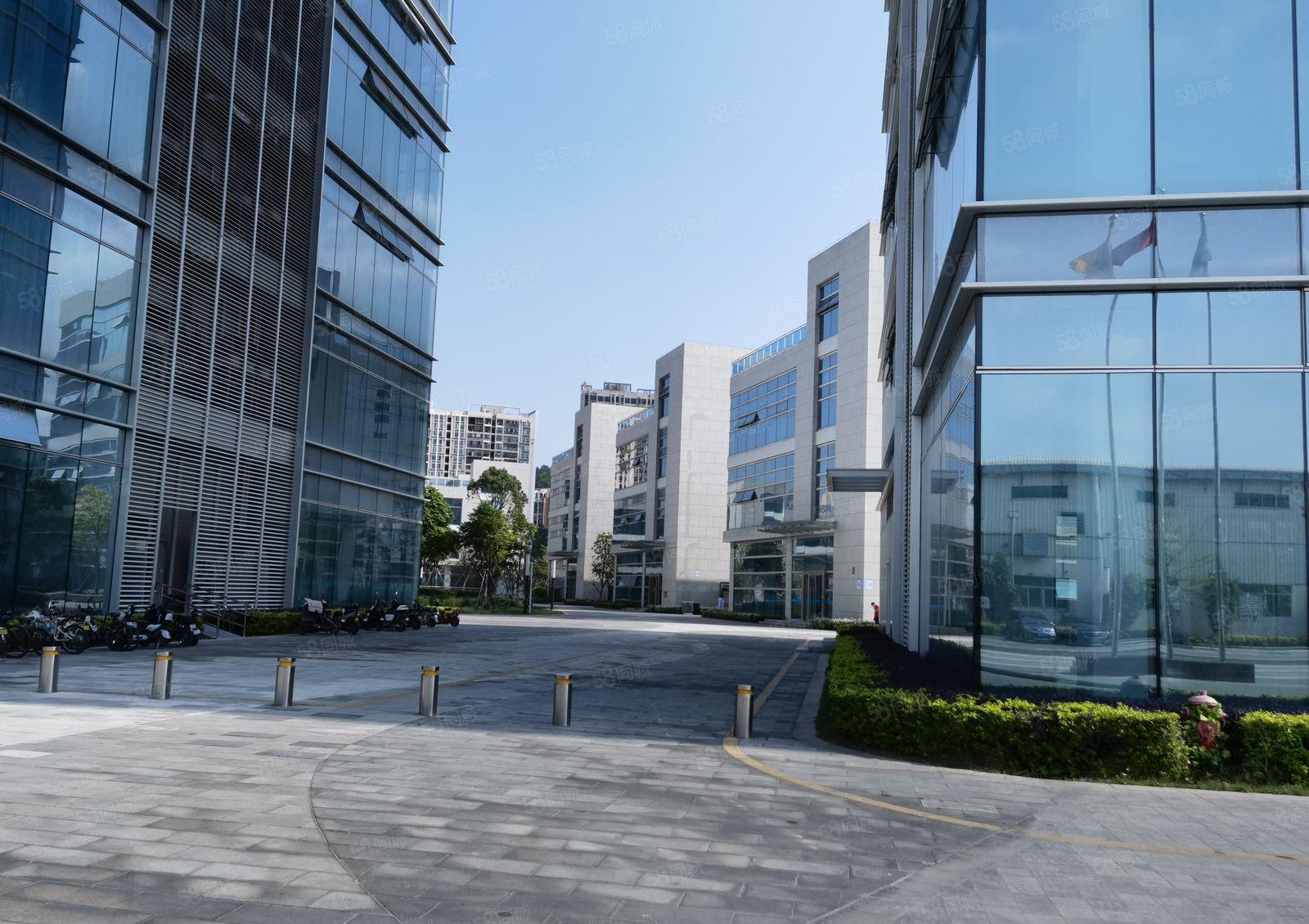 南山塘朗地铁口全新厂房4400平方厂房出租300平方起分租