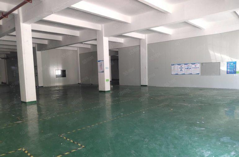 20元起租龙岗南联大工业园一楼二楼各980平厂房出租大小分租