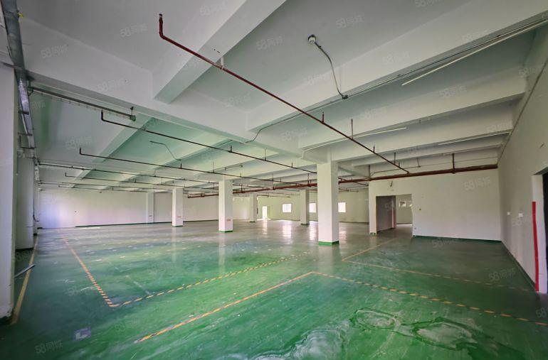 形象好 空地大西丽塘朗工业园楼上1000平精装修厂房仓库出租