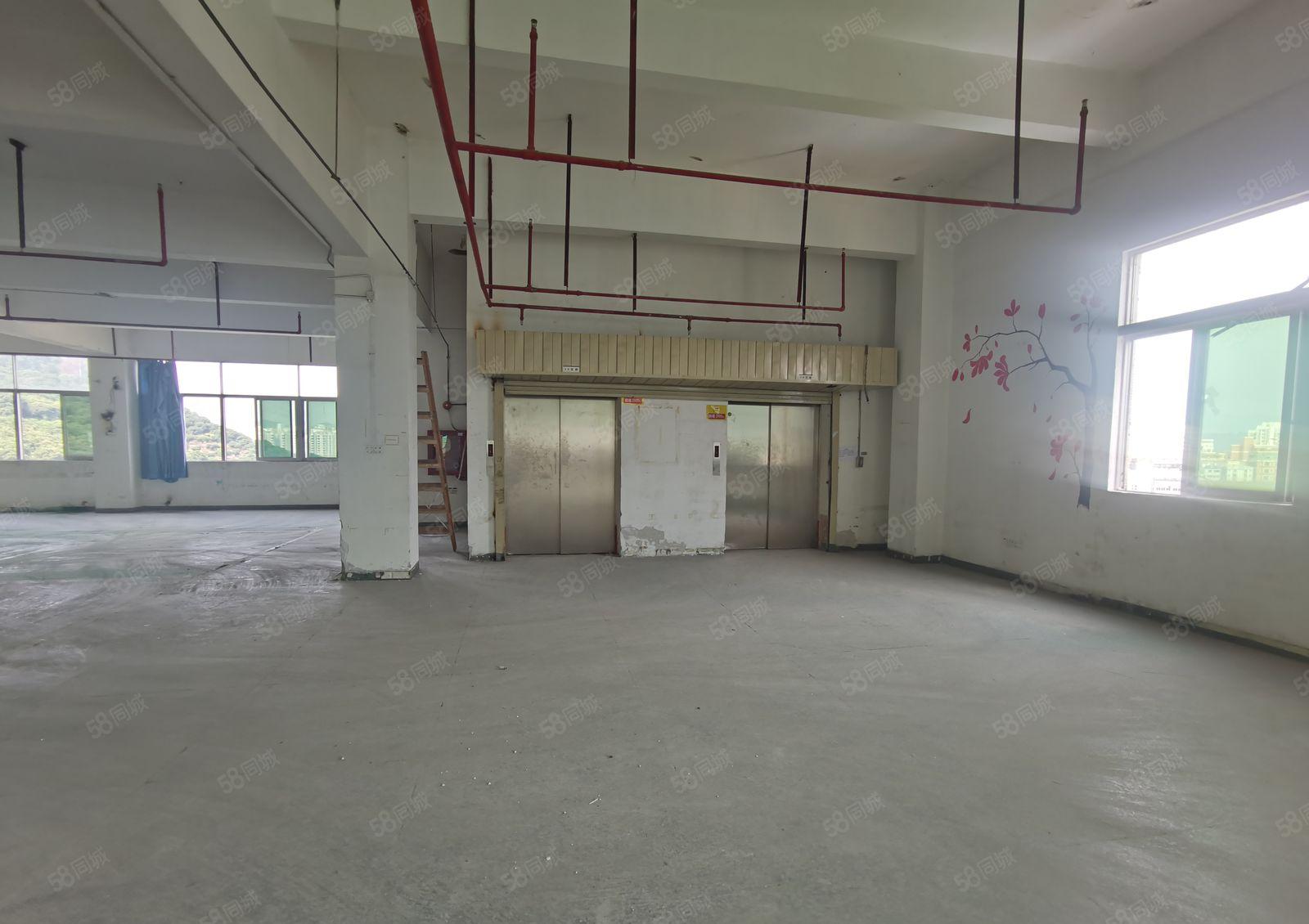 西丽原房东20000平方，实际面积出租