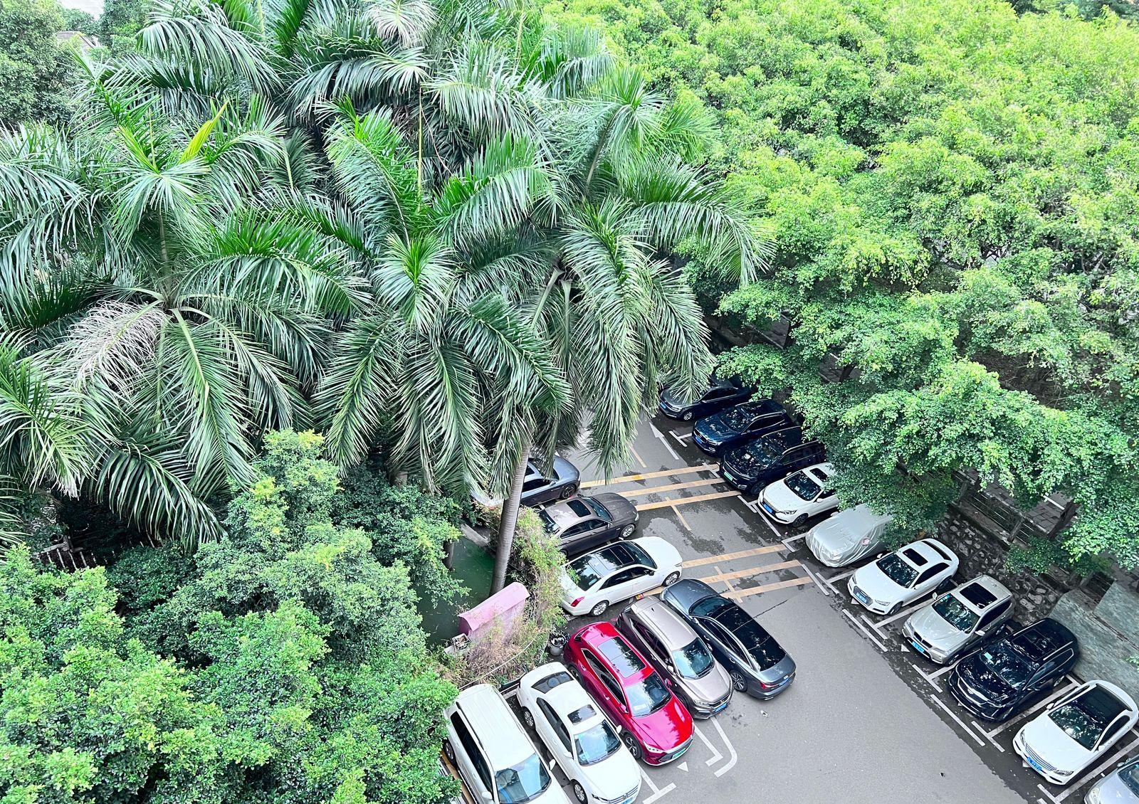 年底低价 南山西丽茶光 精装2200平可分租 厂房仓库出租