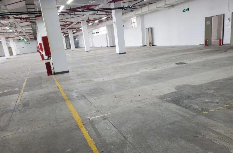 【物业直租前海大小南山片区】厂房/仓库/办公