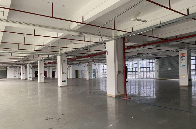 南山区大型园区楼上带精装修1000平招租可以拎包入住可以分租