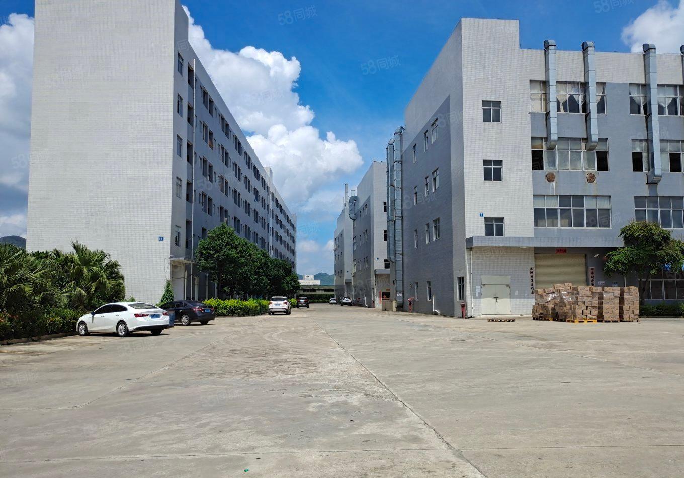 石岩石龙仔精装300平至5000平一楼仓库厂房出租转租分租