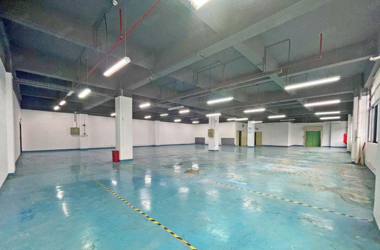 西丽百旺信工业园精装整层2780平可分租