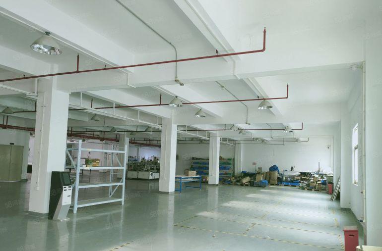 观澜福民龙观快线新出单层面积2800平米租24元