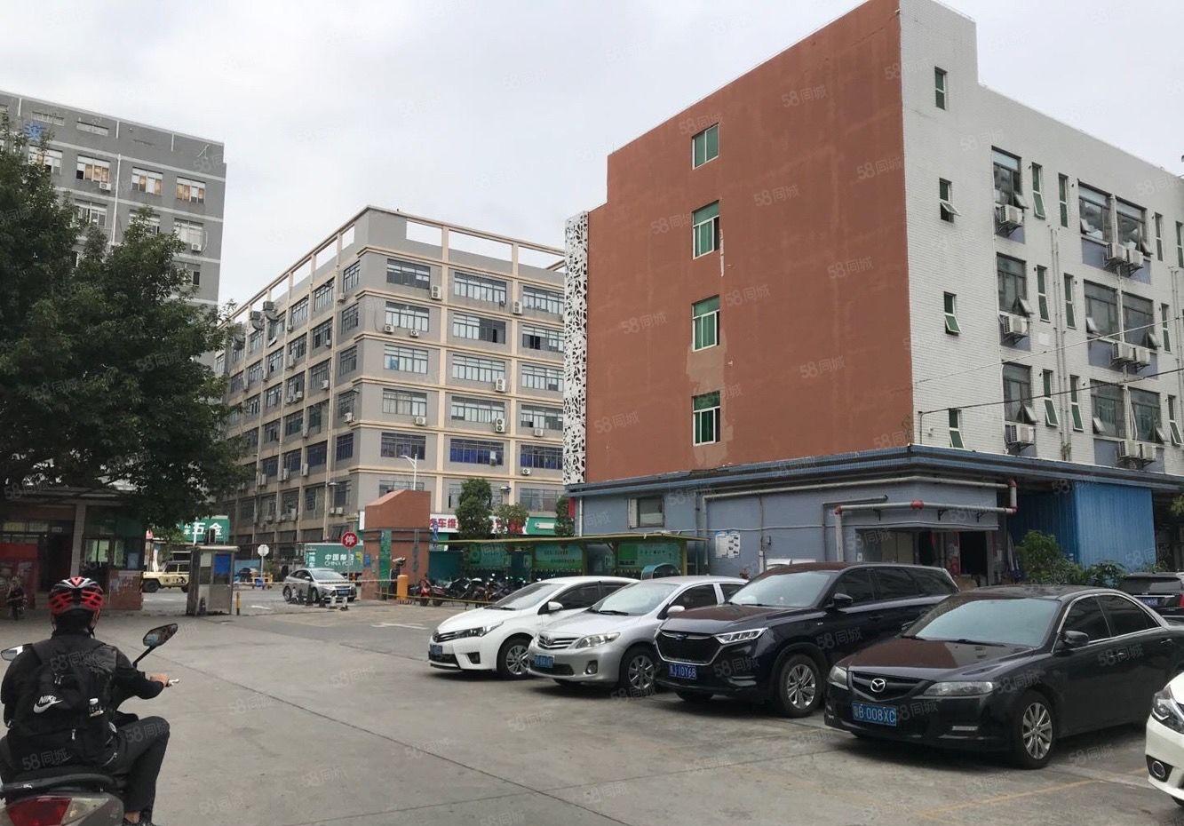 固戍大型工业区近梧桐岛260平精装修厂房招租 电商仓库