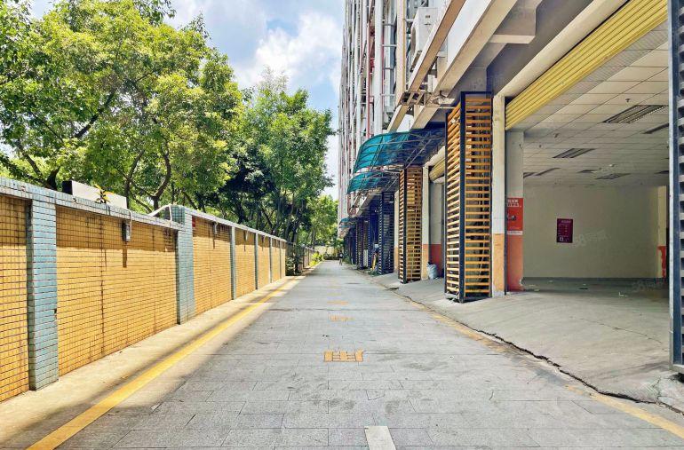 （实拍）南山西丽大学城一楼1680平 前后通 行业不限