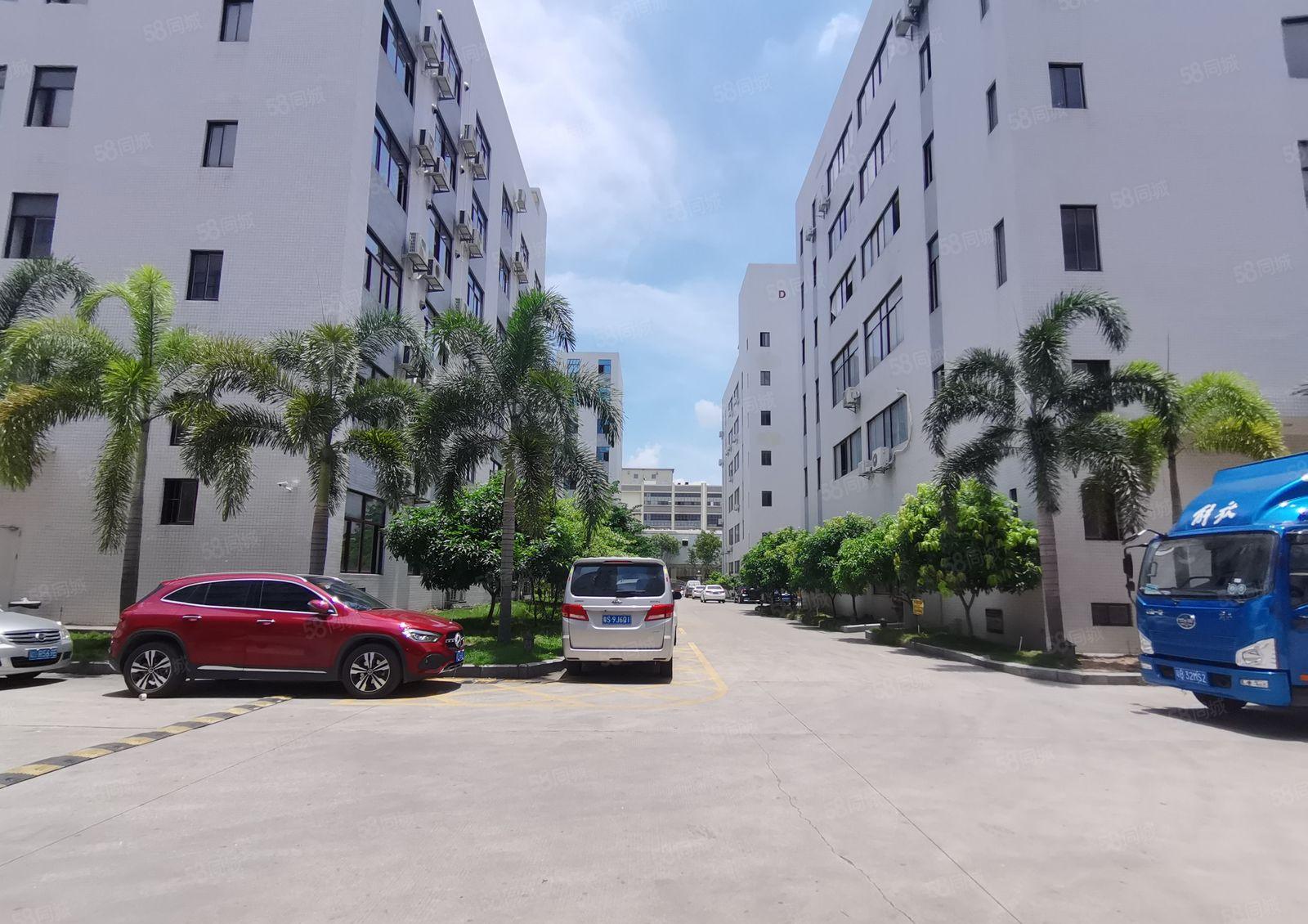 光明12000高新补贴厂 房出租，免租半年1000平起