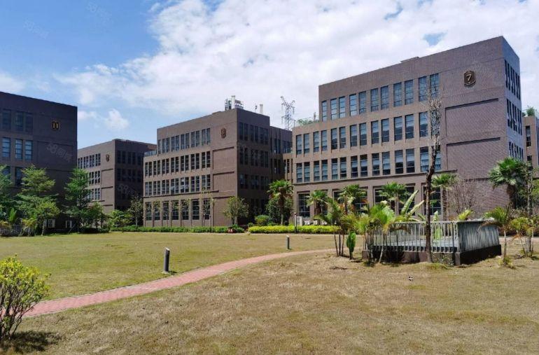 3500平南山南头工业区独栋办公楼研发楼厂房出租开发商低价招