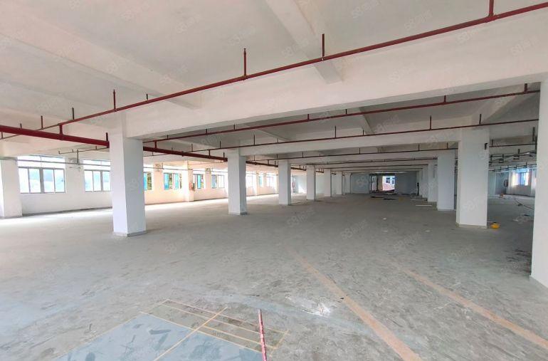 坪山工业园新出200至5000平一二楼红本厂房仓库出租大小分