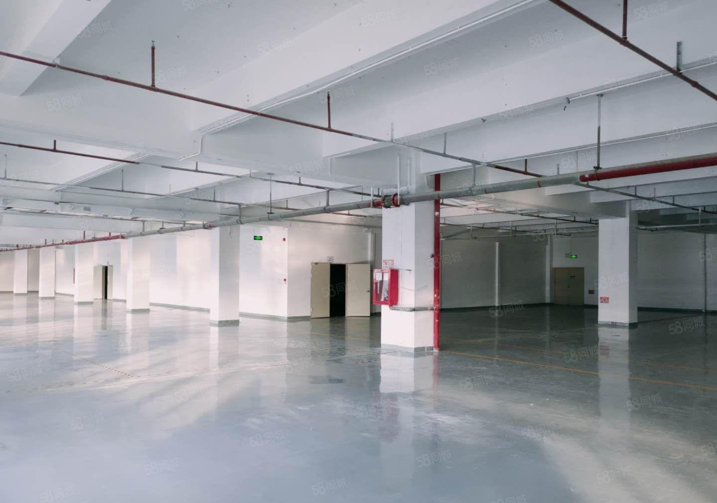 原房东！横岗新出5000平，可分租可办环评，厂房仓库低价出租