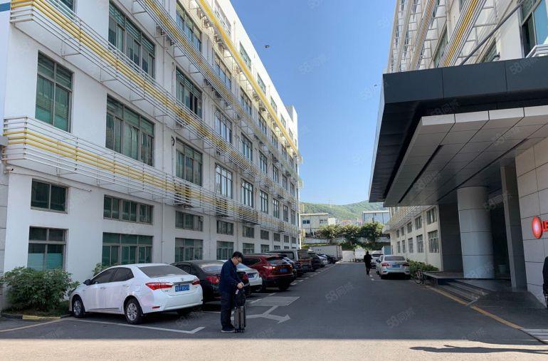 西丽文化产业园整层1800，3600平豪华装修，原房东直租