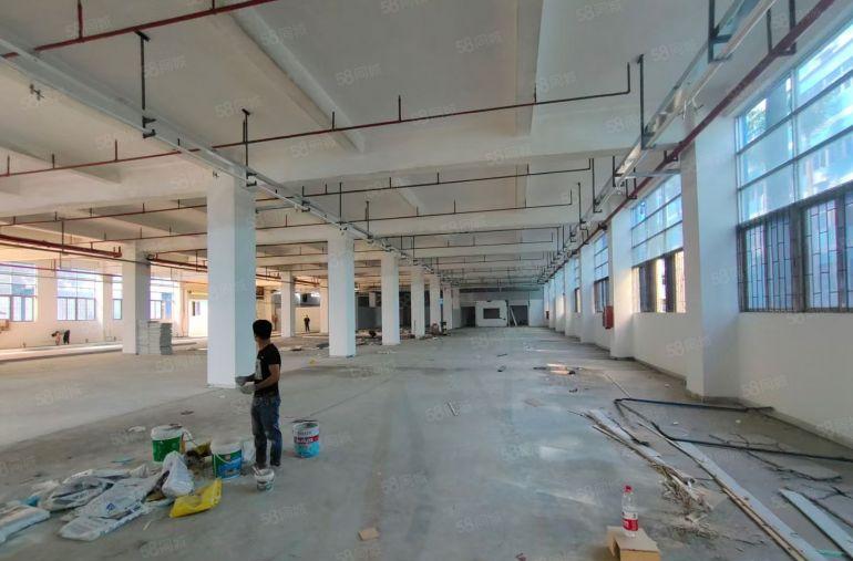 坪山工业园新出200至5000平一二楼红本厂房仓库出租大小分