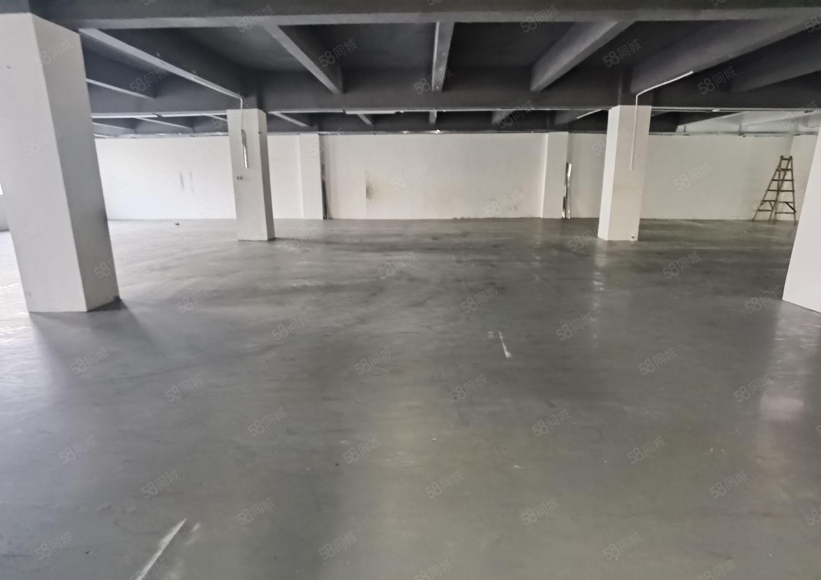 南山西丽阳光工业区新出原房东带装修厂房1230平