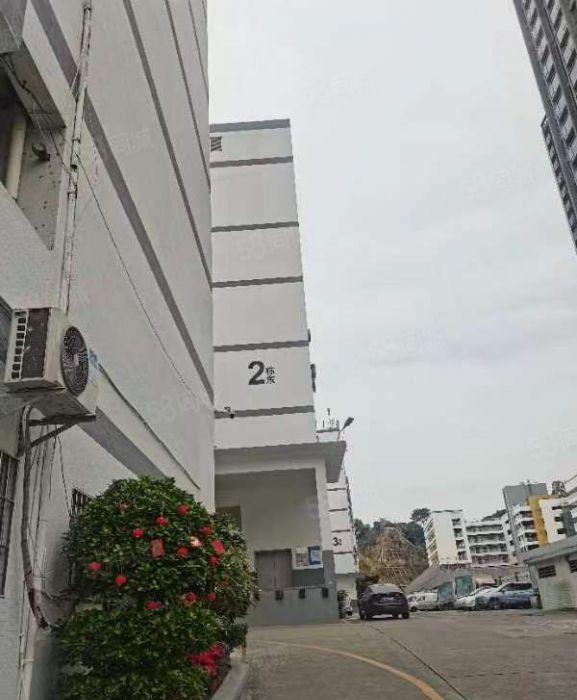 南山西丽街道阳光工业区伟豪科技园业主直租，850平办公厂房研