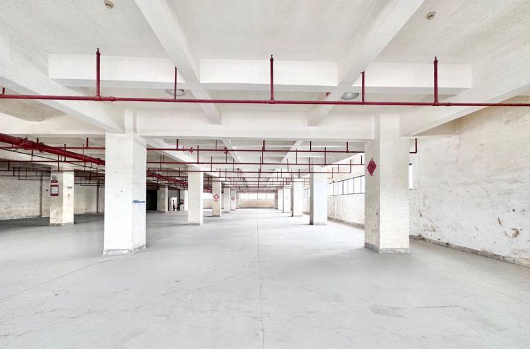 罗湖清水河工业园厂房出租单层5500平办公加工生产仓储可分租