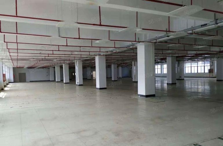 西乡航城大型园区原房东一楼1500三楼3000平方厂房分租