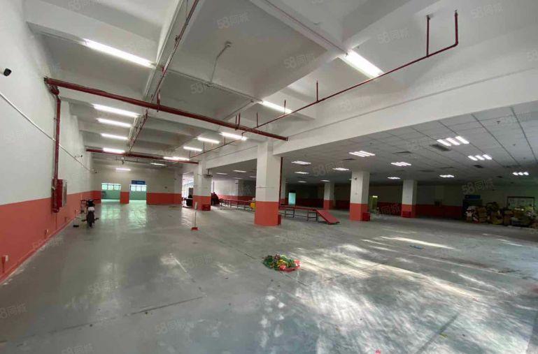 南山西丽大学城一楼1500平 可分租 行业不限