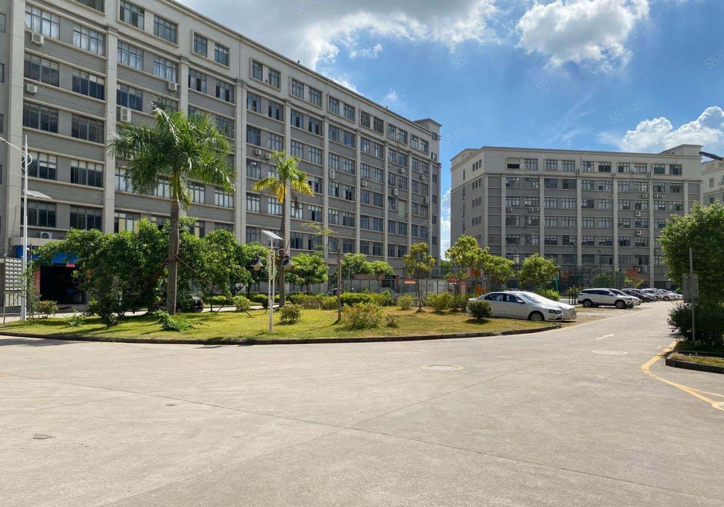 西丽麻磡工业区200平至5000平精装办公室电商仓库厂房出租