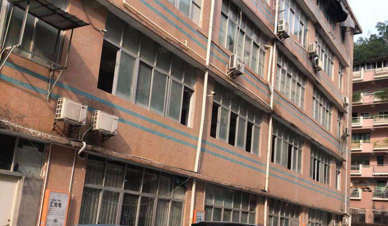 罗湖草埔厂房，现成办公电商60平米起，大小招租