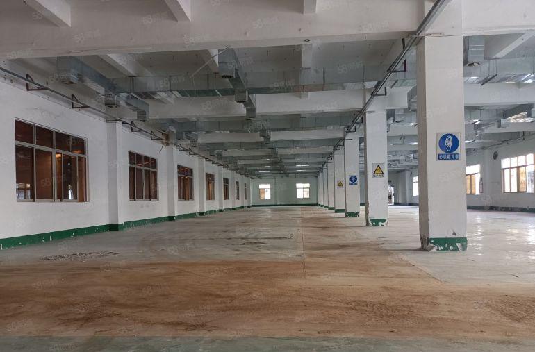 龙岗坪地新出7500平米独院厂房出租