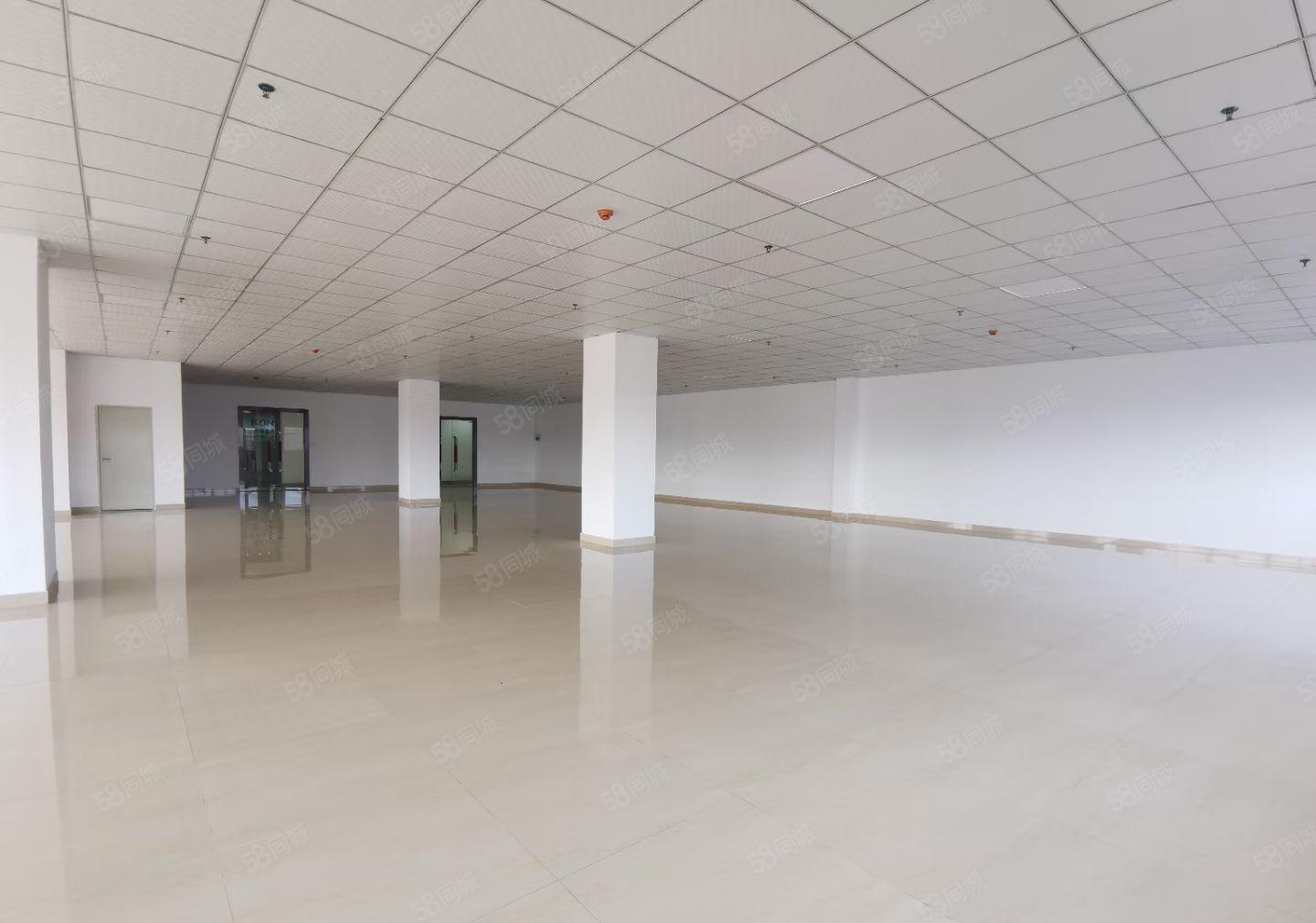 西丽阳光工业区300至1000平米办公研发厂房出租