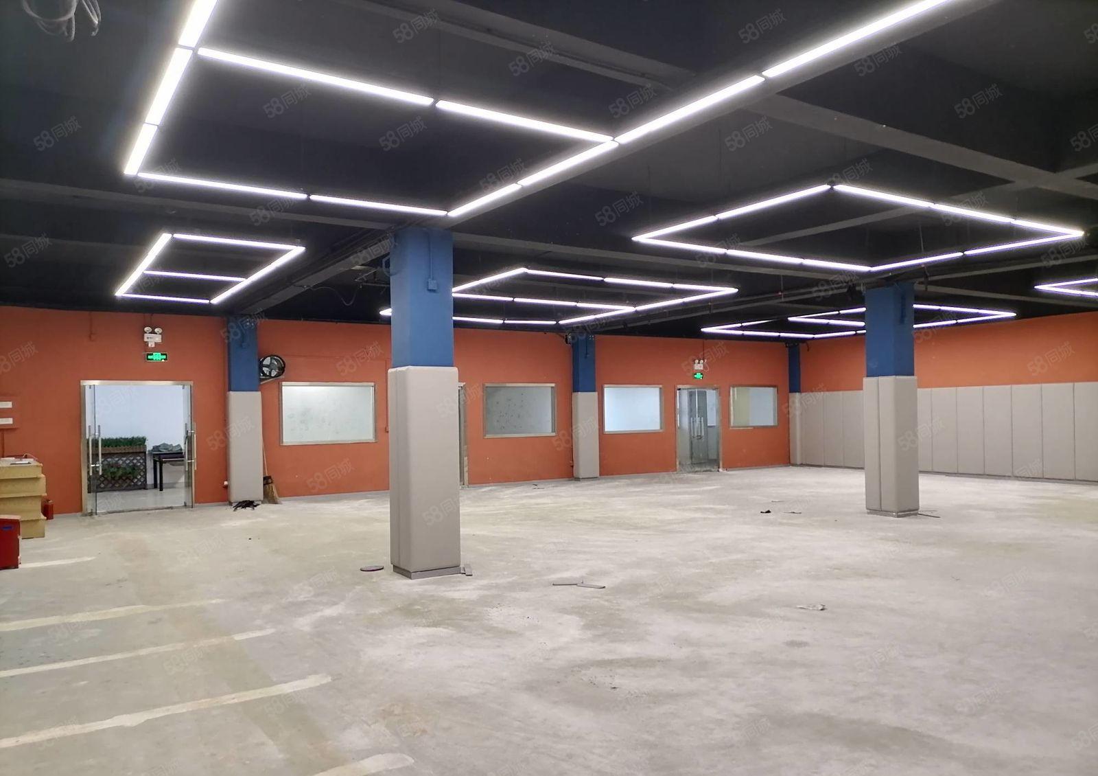 物业直租南山300平物流仓库，适合递物流，配送，食品饮品批发