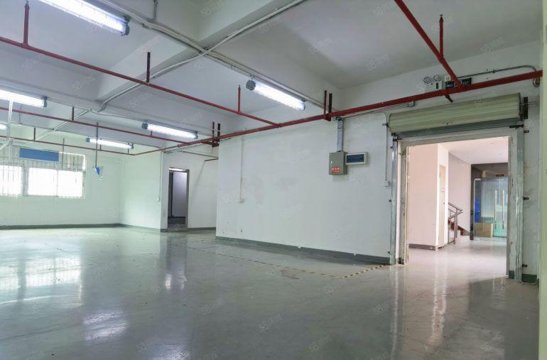 南山西丽 创意研发产业园 新出整层小面积厂房 环境非常好