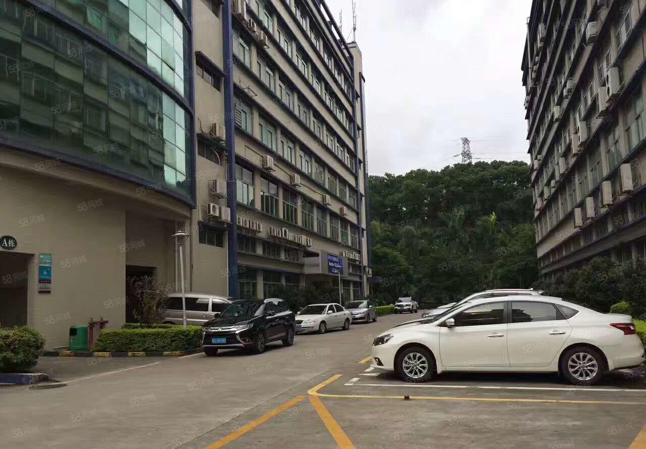 布吉丹竹头新出原房东厂房出租3250平方三吨大货