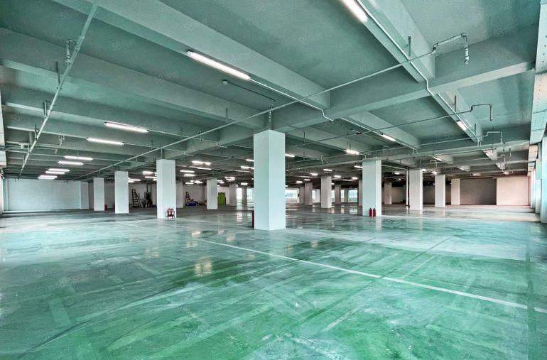 南山西丽13号地铁线  整层4000平  形象好  可分租