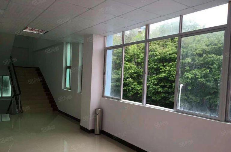 南山 西丽 新出精装修办公室厂房400平电商仓库可分租