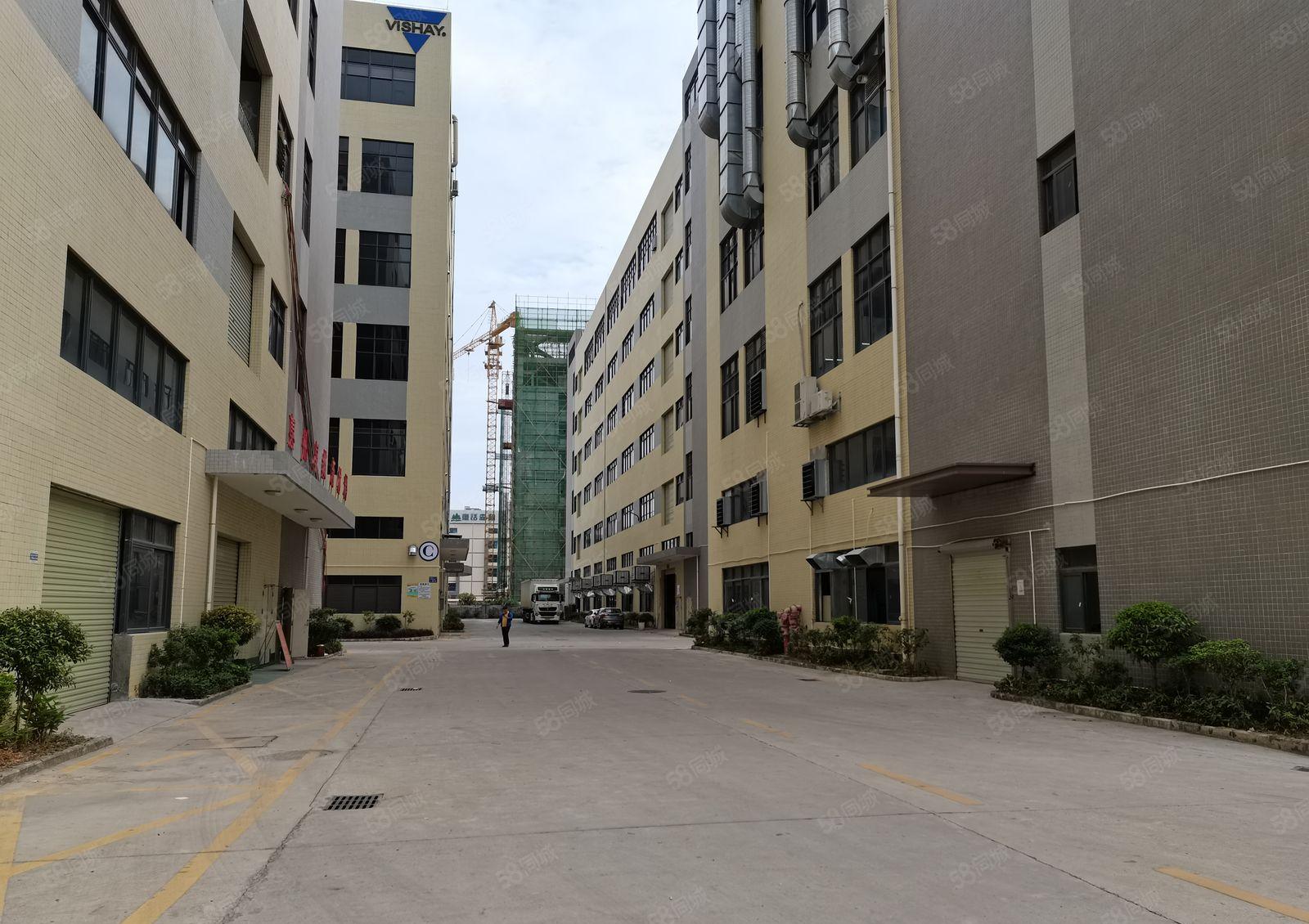 100平起租，南山西丽地铁站工业园精装电商办公室仓库厂房出租