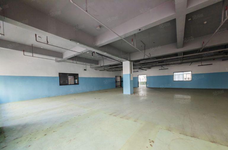 西丽阳光工业区原房东红本独栋厂房2万平实际面积出租 可分租