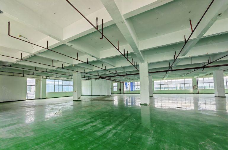 西丽阳光工业区新出楼上2000平仓库厂房出租 可分租