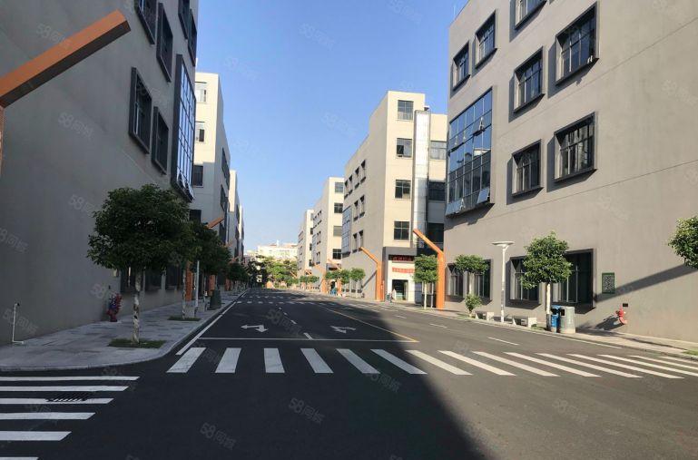 西丽 国资园区厂房出租500平至8000平 无公摊大小出租