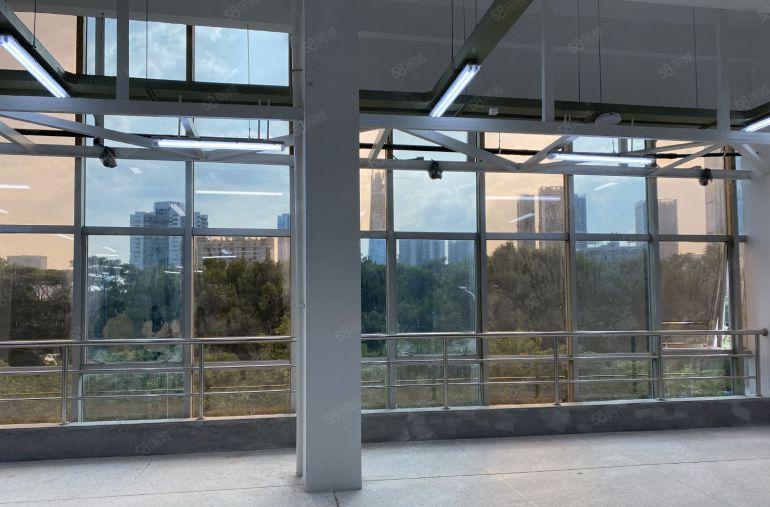 洪湖房东直租商铺出租近洪湖沃尔玛地铁站大面积