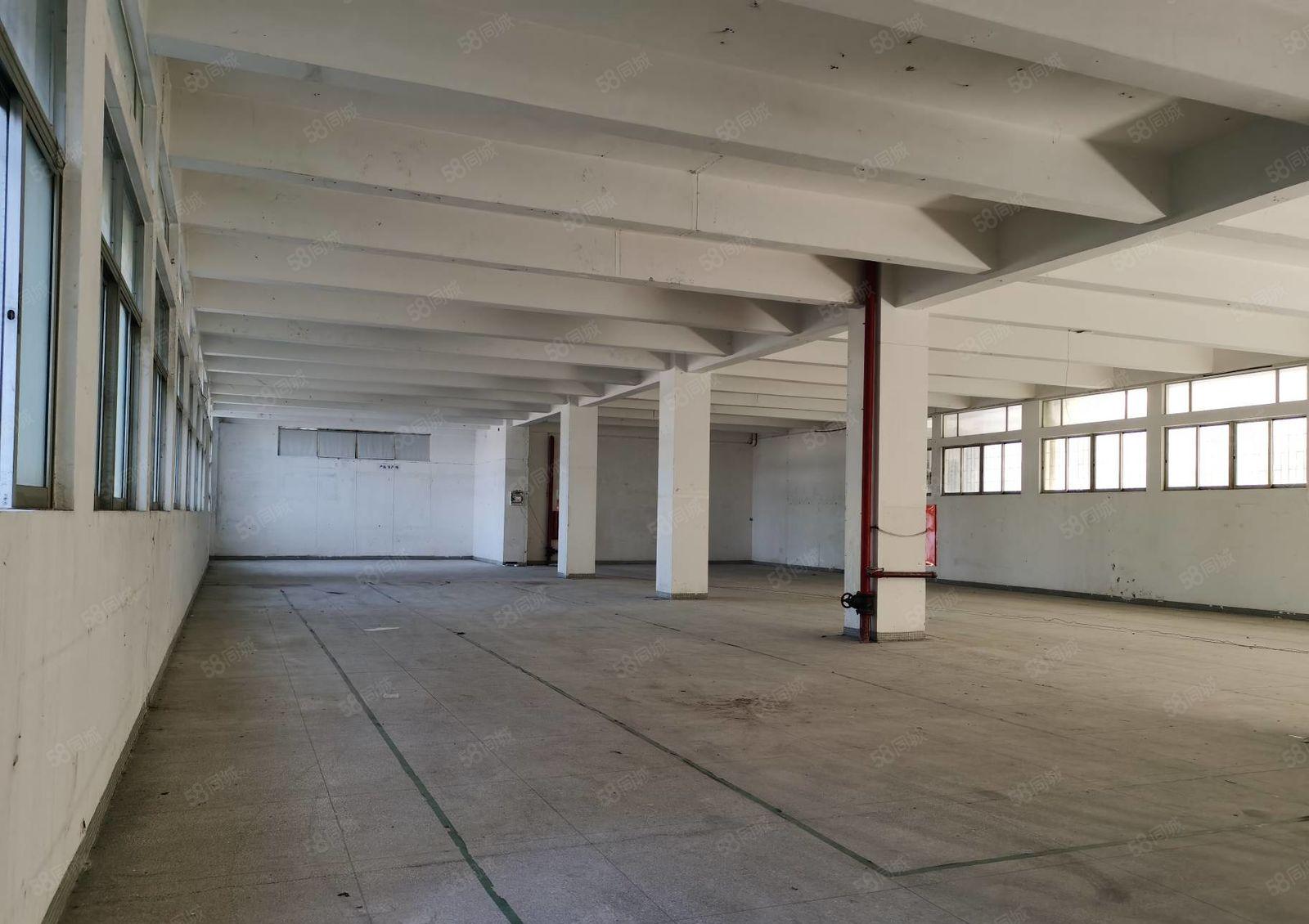 蛇口地铁海上世界地站独门独院3400平出租适合总部办公