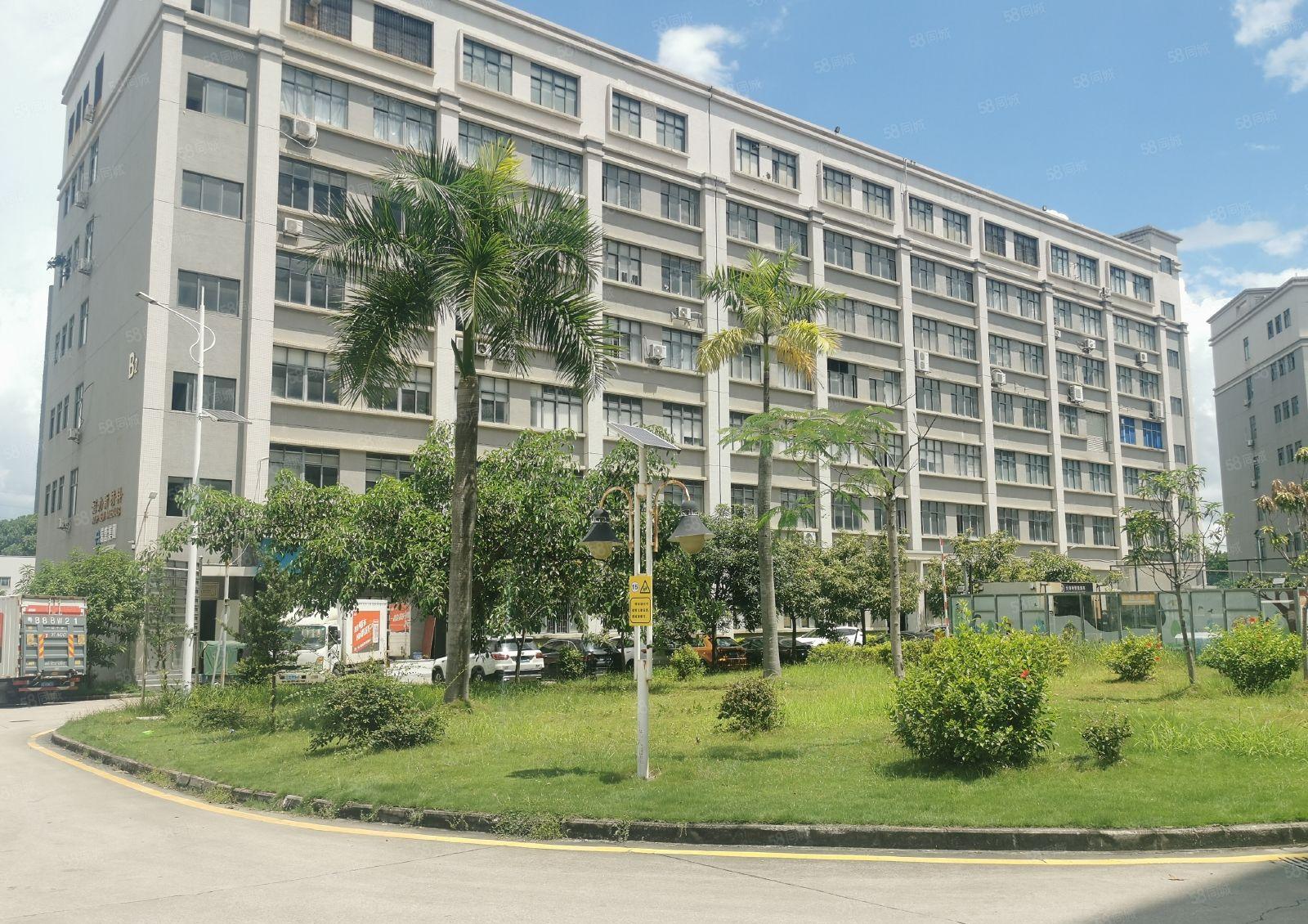 横岗高速路口永湖地铁站边空出原房东厂房一层2600平方