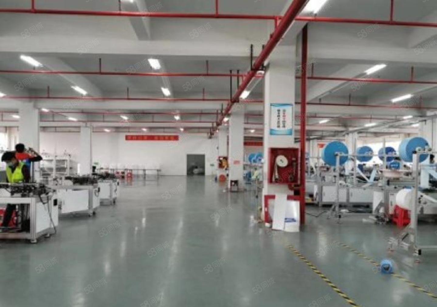 西丽大学城1000平（200平起分）精装修办公室仓库厂房出租