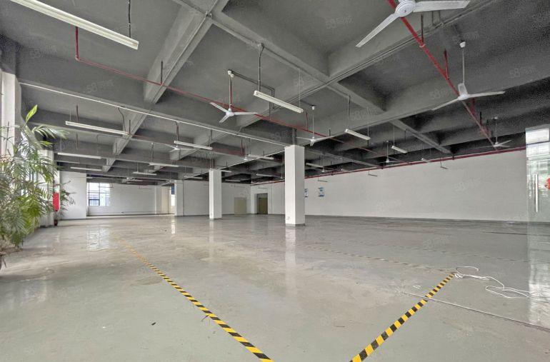 西丽百旺信高科技工业园精装整层2780平可分租