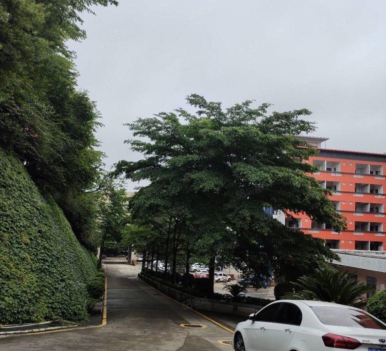 厂房仓库出租盐田沙头角厂房办公室70平起租2100平交通便利