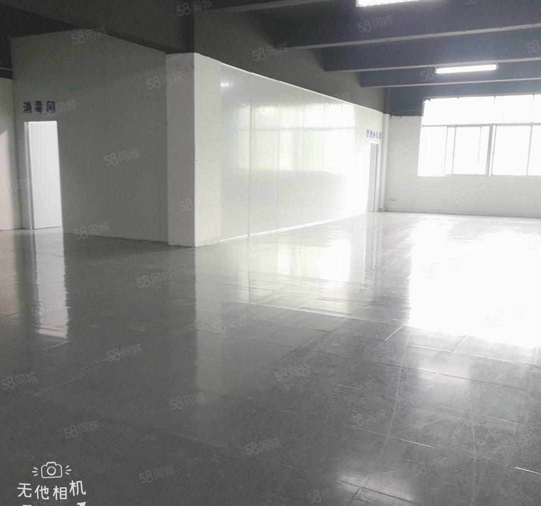 还价即租 临马路边590平230平起租带装修仓库研发办公等