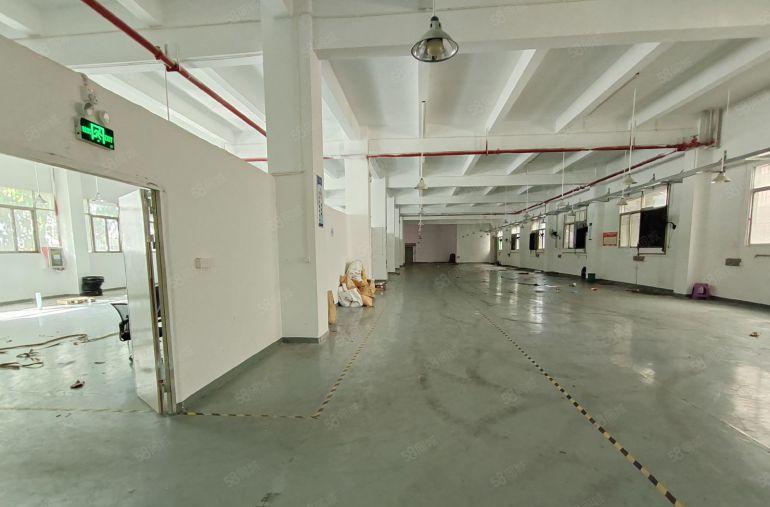 南山西丽原房东红本厂房出租4500平方南山独门独院