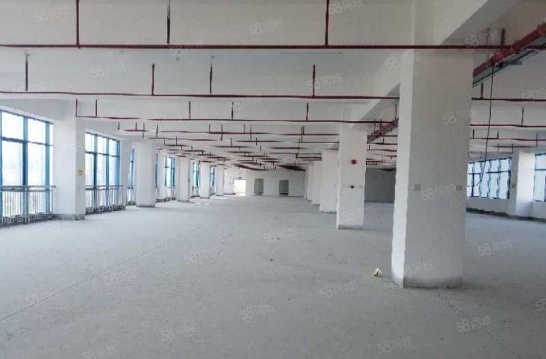 10元起租独立厂房3500平米出租，可分租