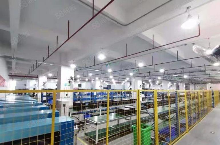 光明田寮高新厂房4楼整层3280平方精装修厂房招租