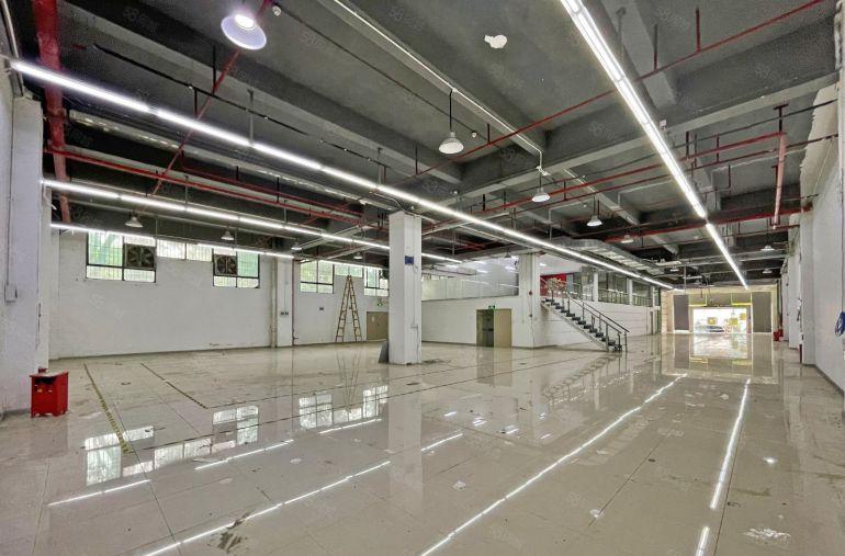 南头新出一楼1200平方  层高6米 门头大气 有红本