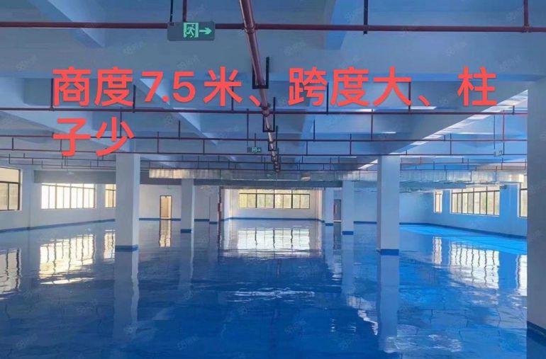 原房东招租，证件齐全、总面积45000平方米