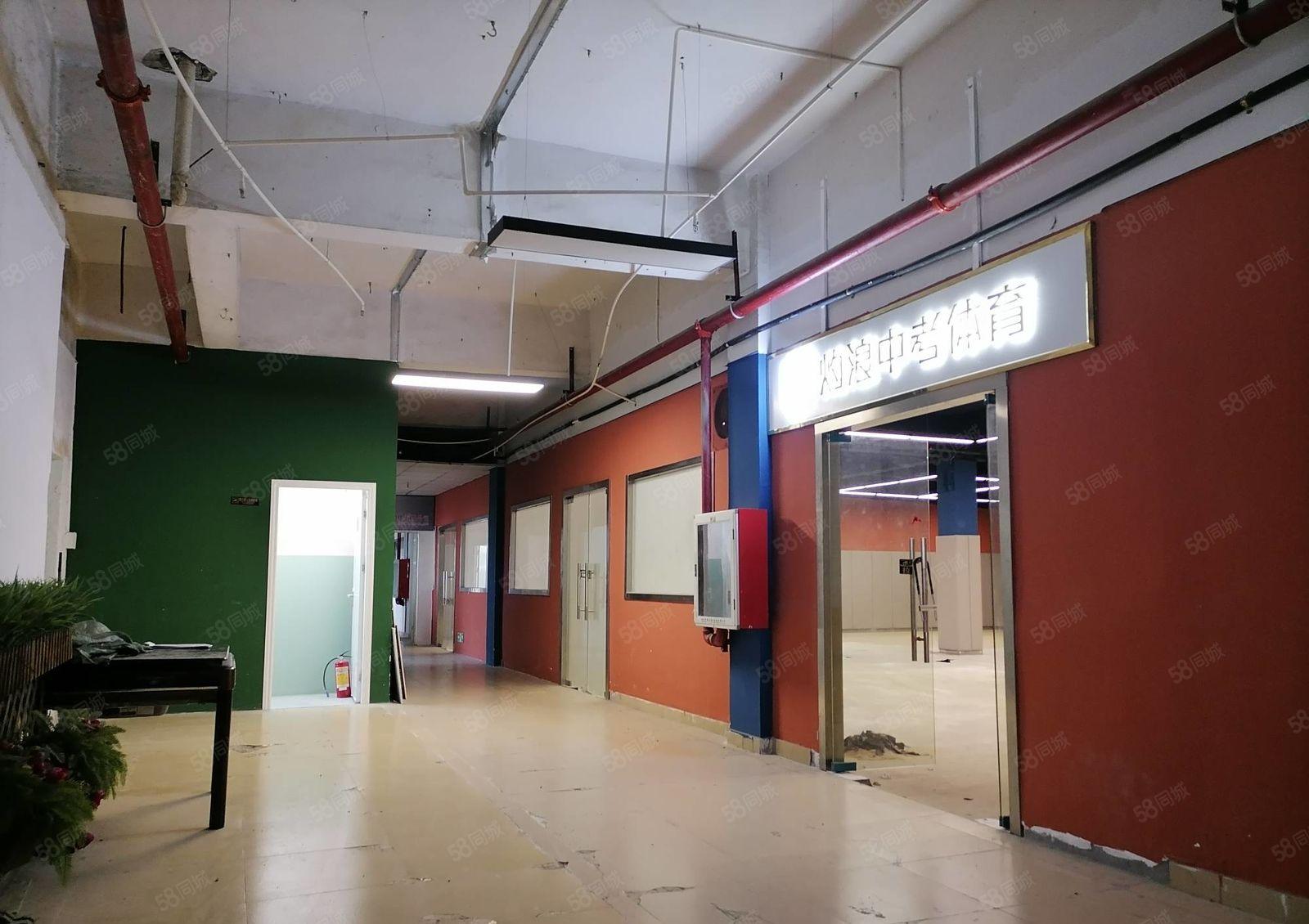 物业直租南山300平物流仓库，适合递物流，配送，食品饮品批发